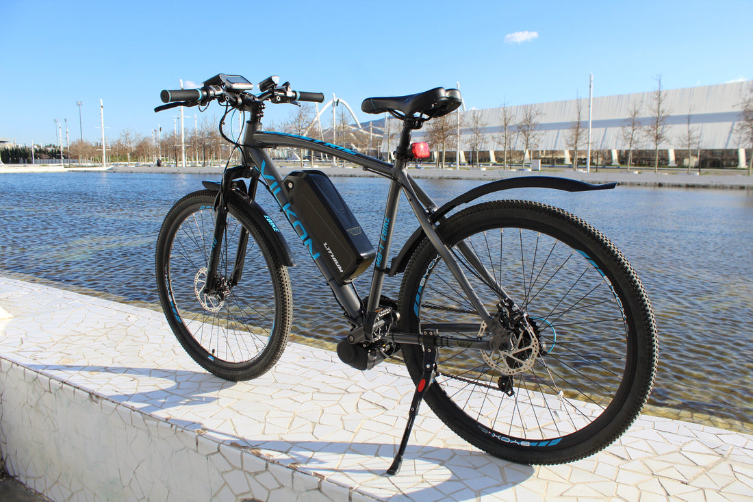 Electric bike: How much it costs, how it works - Everything you need to know